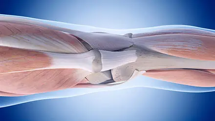 Biomaterials and Tissue Testing