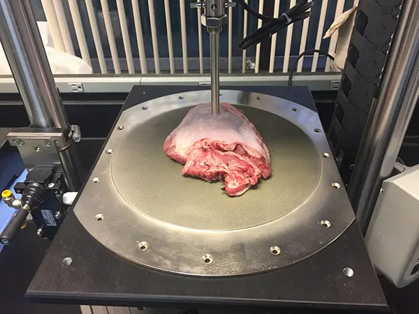 custom test fixture for CBSET