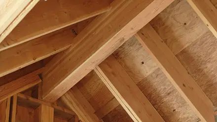 Wood and Paper Testing